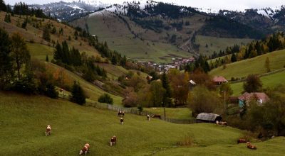 Rural tourism Lunca de Jos