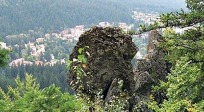 Toronykövek Băile Tuşnad (Tusnádfürdő)