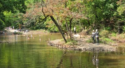 Lacul Aluniş Sovata