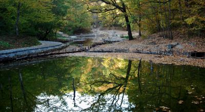 Lacul Verde Sovata