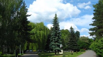 Zentral Park Miercurea Ciuc (Szekelerburg)