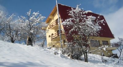 Poian Verde Bran Panzió Bran (Törcsvár)