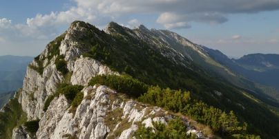 Activităţi recreative, programe turistice