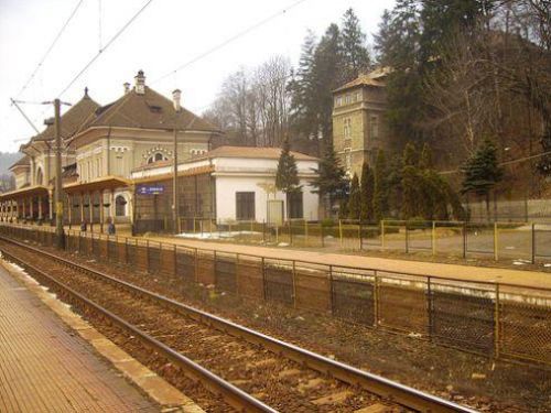 Gara Sinaia Si Gara Regala Sinaia