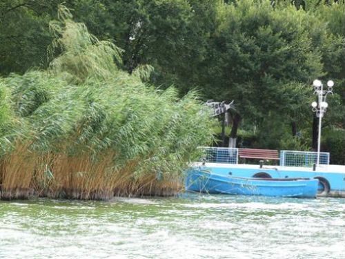 Ovidiu Insel Mamaia