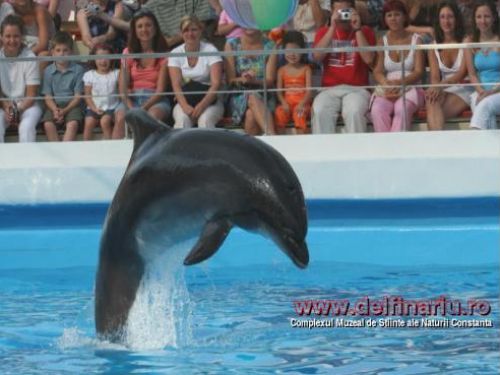 Delfinarium Constanta