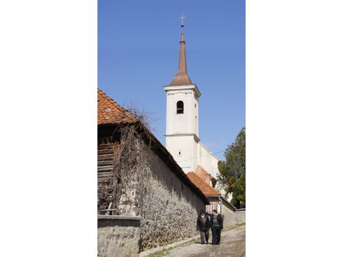 Biserica Romano-Catolică Satu Mare