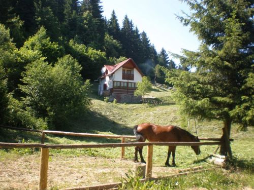 Casa La Cheie Timea Lăzăreşti