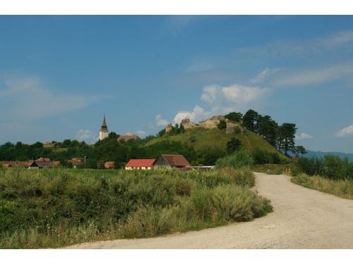 Ruinele Cetăţii Feldioara Feldioara