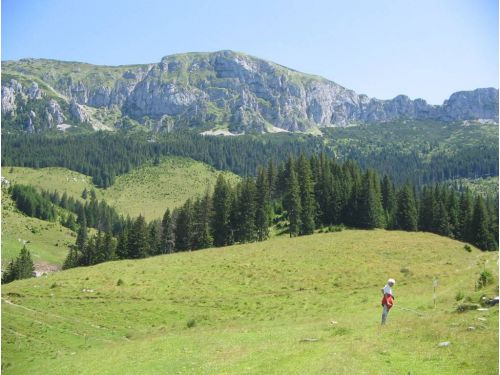 Poiana Guţanului Bran - Şimon