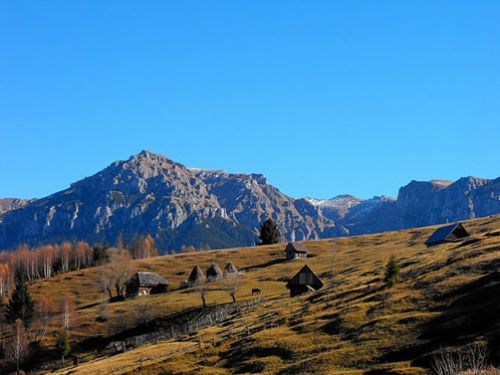 Vârful Gorganu Moieciu de Sus