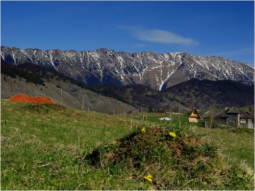 Vârful Gâlma Pleşii Fundata - Şirnea