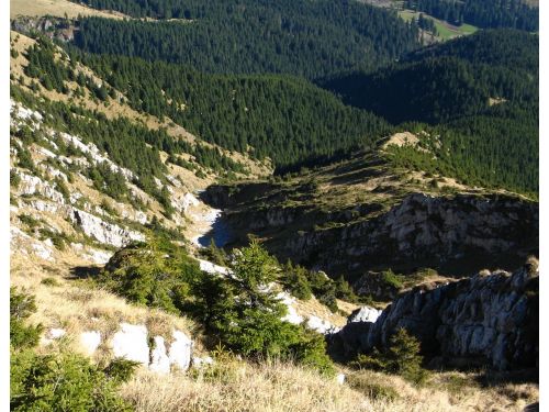 Pietricica Peak Bran