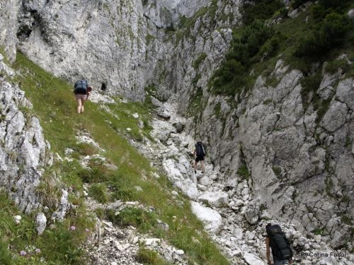 Tămăşelului Mountain Saddle Zarnesti