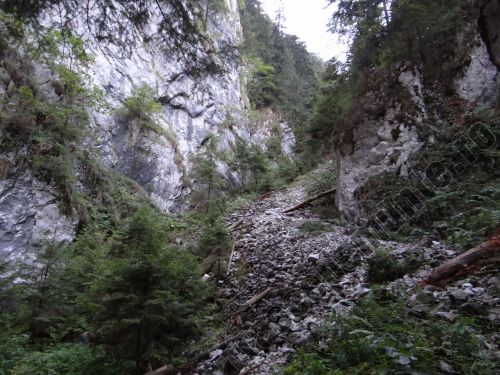 Crăpăturii Montagne Selle Zarnesti