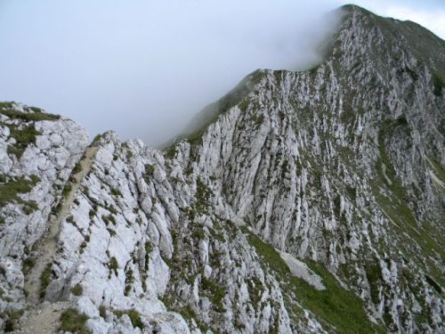 Kilátó Pont La Om Csúcs Zărneşti (Zernyest)