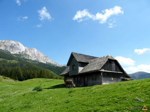 Guţanu Prairie Moieciu de Sus