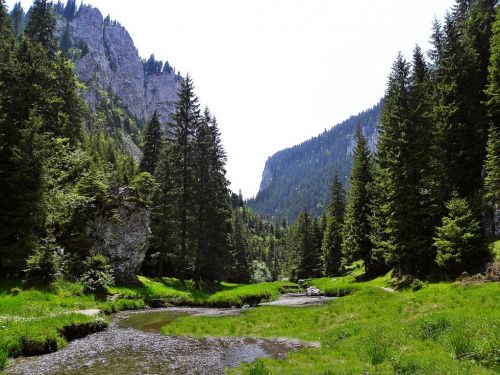 Zănoagei Gorge Moroieni