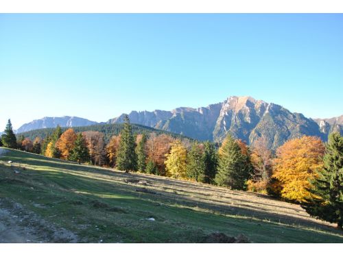 Baiului Mountain Saddle Rasnov