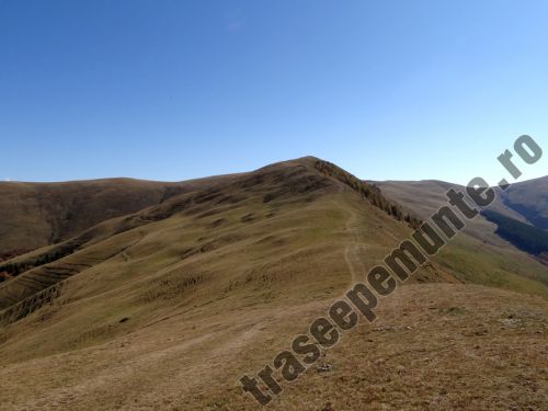 Piscul Câinelui Peak Sinaia