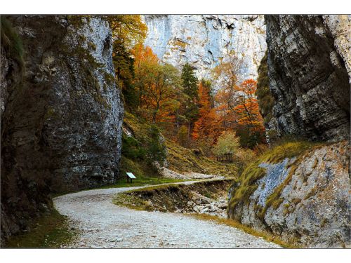 Zsernzesti Szurdok Völgy Zărneşti (Zernyest)