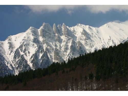 Coltii Morarului Buşteni