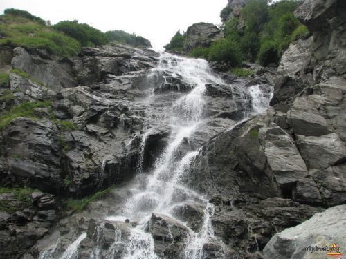 Capra Wasserfall Capatanenii Ungureni