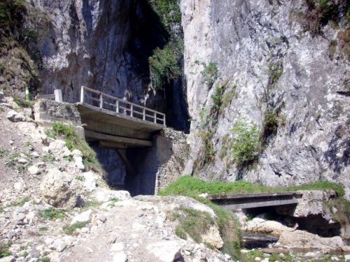 Les Gorges De Bistrita Costesti