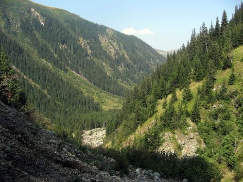 Domogled Nemzeti Park Băile Herculane (Herkulesfürdő)