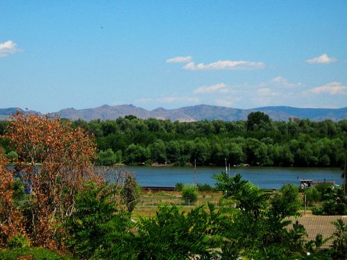 Parcul Natural Balta Mică A Brăilei Brăila