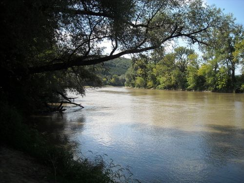 Parc Naturel Lunca Mureşului Arad