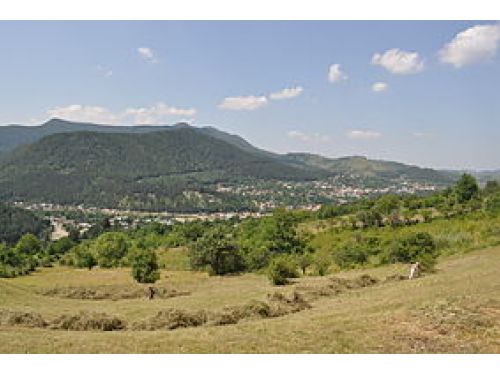 Parcul Natural Putna-Vrancea Tulnici