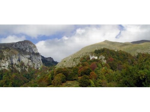 Buila-Vânturariţa National Park Horezu