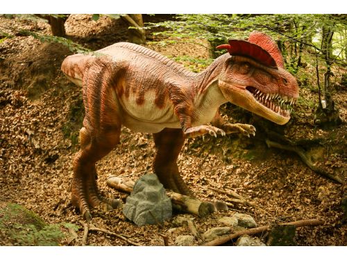 Dinoparc - Parcul Dinosaurilor Râşnov