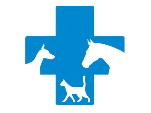 Veterinär Privatpraxis Eremitu (Einsiedler)