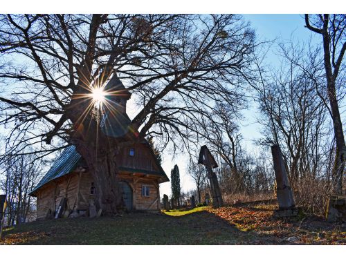 Saint John The Baptist Wooden Chapel, The Oldest Tree In Transylvania Eremitu