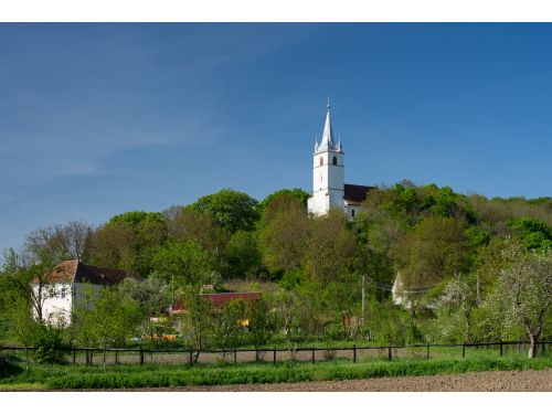 Biserica Reformată, Secolul 14 Bereni