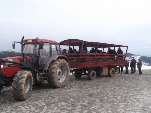 Transport Personal Cu Căruţa Vlăhita