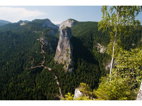 Parcul Naţional Cheile Bicazului-Hăşmaş Lacu Roşu