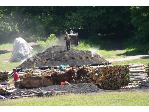 Hagyományos Szénégetés Valea Zălanului (Zalánpatak)