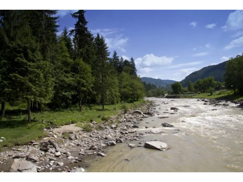 Forest Reserve Goşman-Tarcău Tarcau