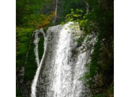 Cascade Et Touches Bolovanisul Tarcau