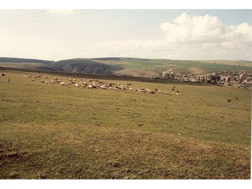 Le Ravins De Tureni Tureni