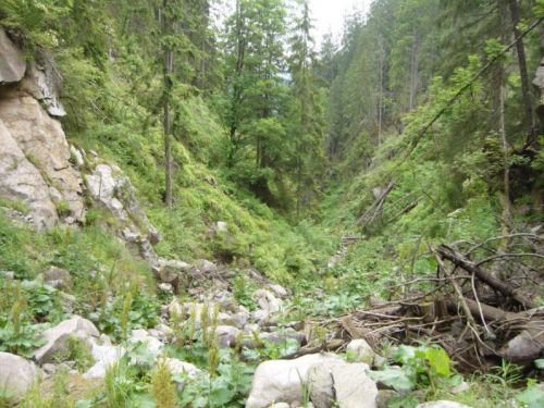 La Gorge De Dumitreasa Măguri-Răcătau