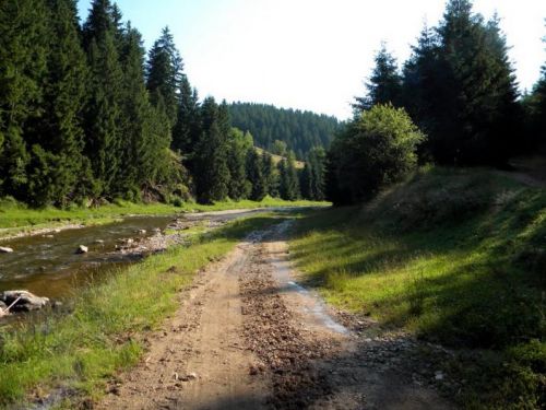 Kapusi Hegyszoros Căpuşu Mare (Magyarkapus)