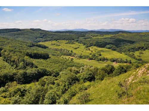 Das Gemischte Naturschutzgebiet 