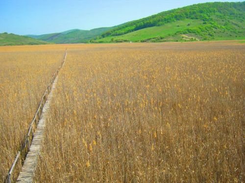 Rezervaţia Naturală Mixtă 