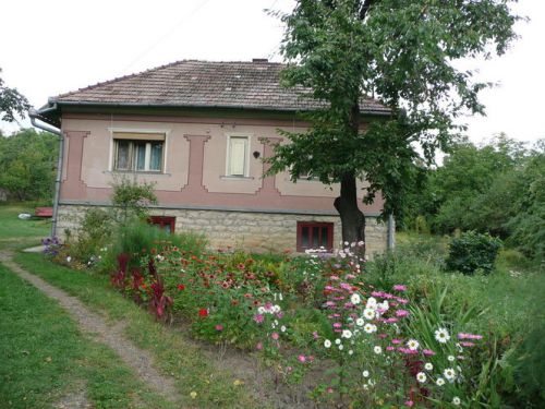 Pension Agro-Touristique Simon Sancraiu