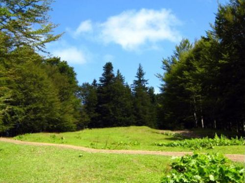 Trasee Turistice Ã®N Poiana Brasov Poiana Braşov