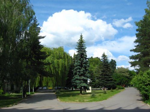 Zentral Park Miercurea Ciuc (Szekelerburg)